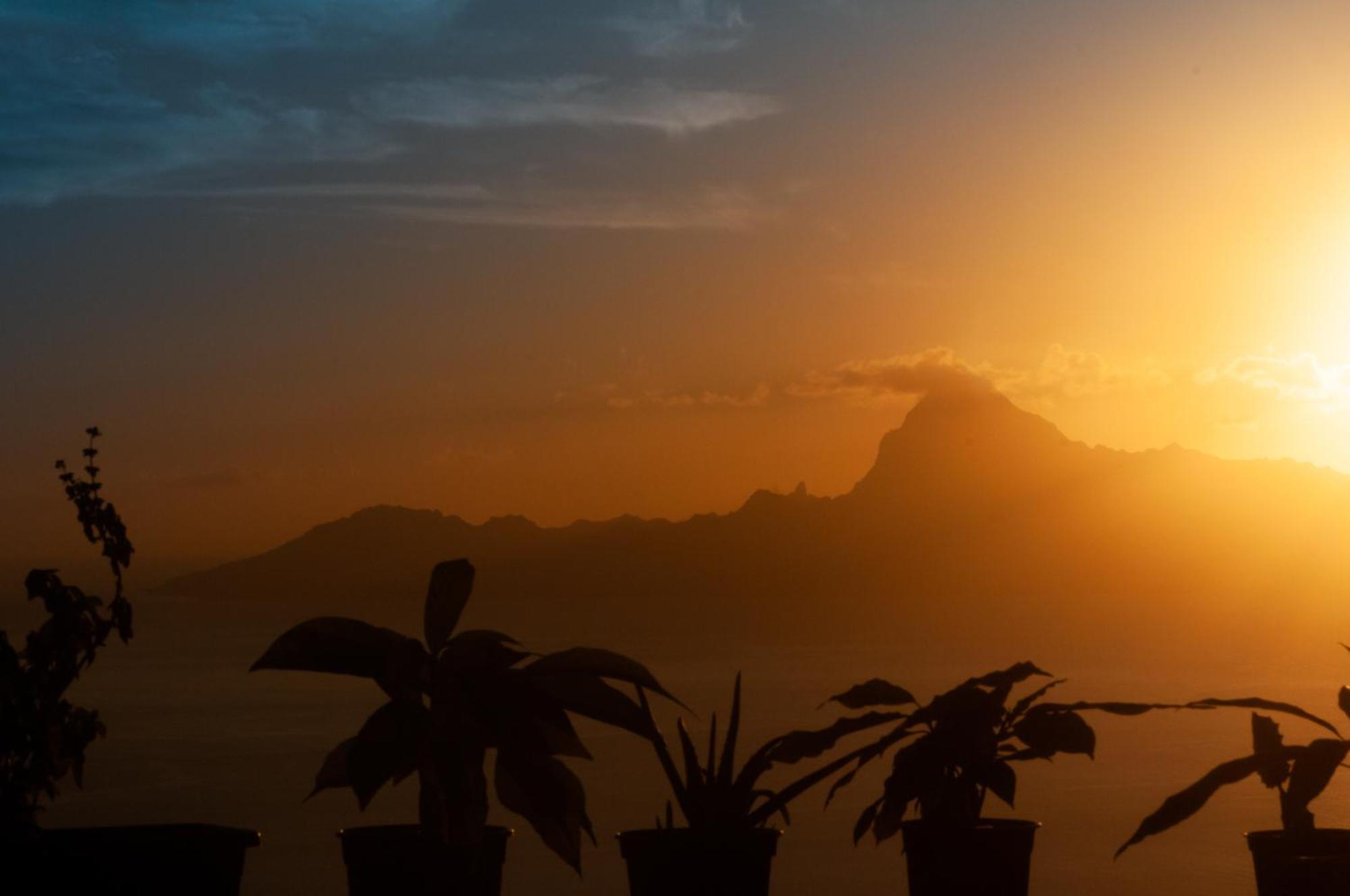 Apartamento Vue Sur Moorea Punaauia  Exterior foto